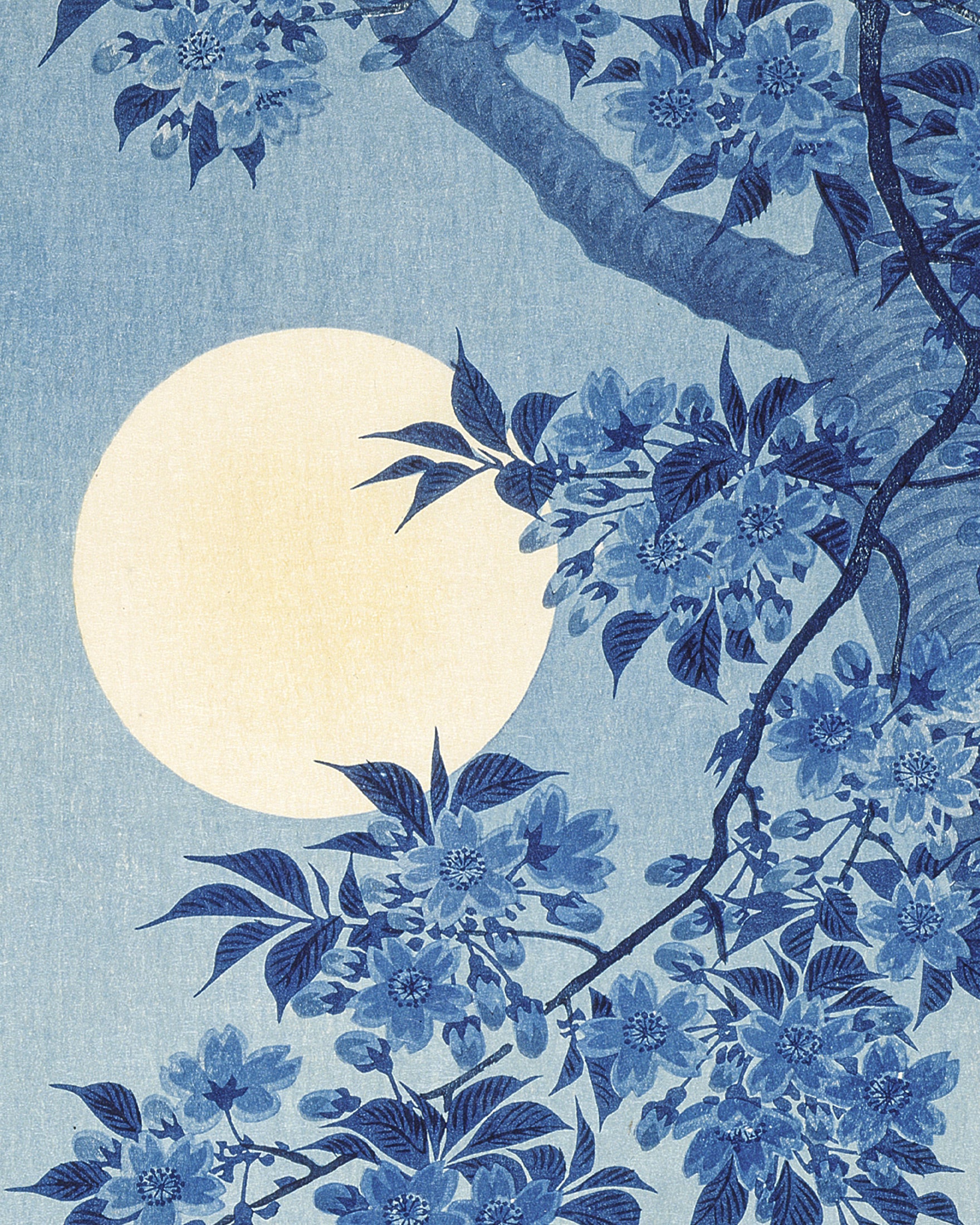 Bloeiende Kersenboom op een Maanverlichte Nacht, Ohara Koson Poster