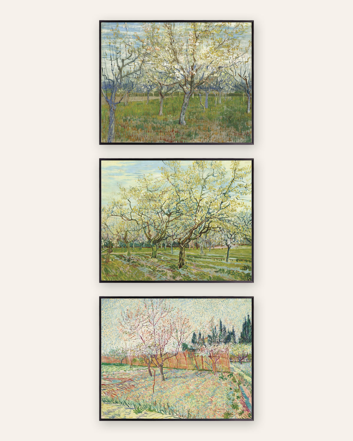 Van Gogh posters bloeiende boomgaarden, set van 3: roze, wit en met cipressen, in zwarte metalen lijsten
