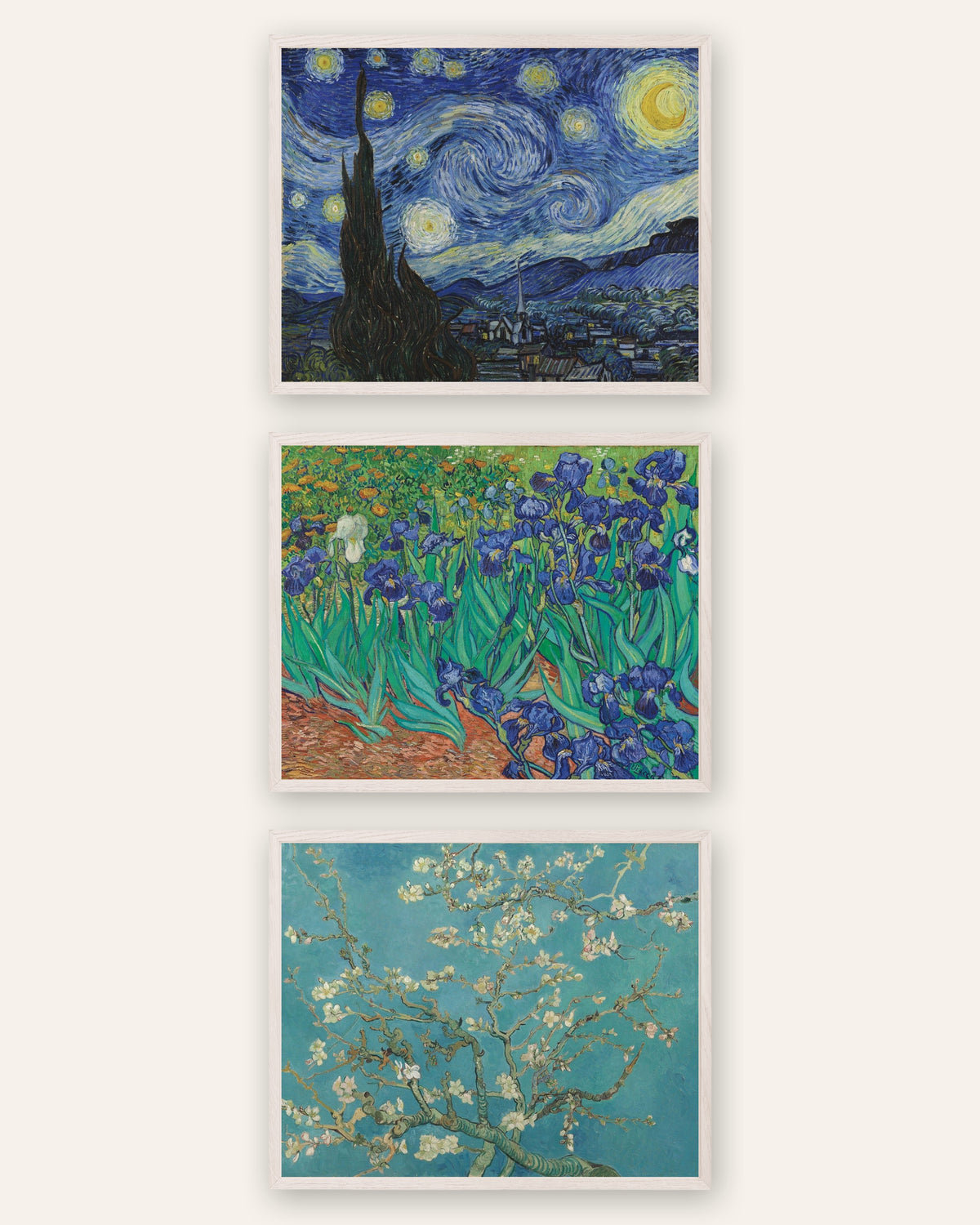Van Gogh posters, set van 3: De sterrennacht, Irissen en Amandelbloesem, in witte eikenhouten lijsten