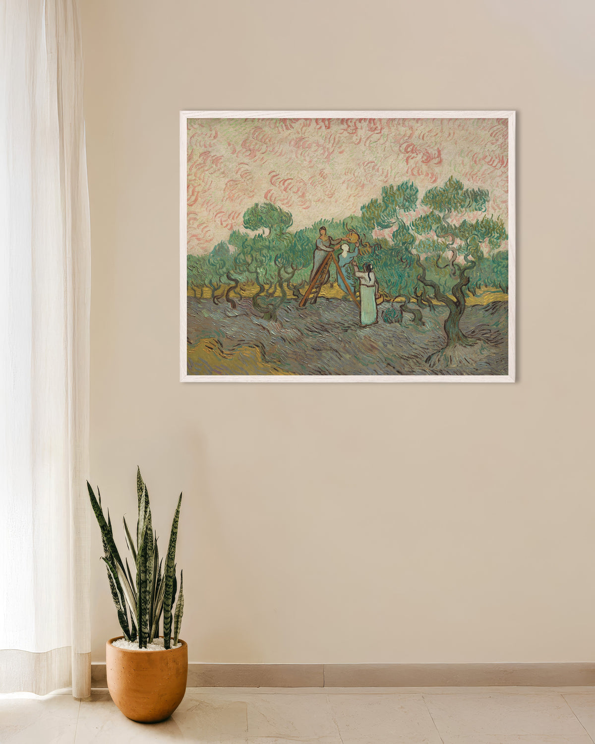 Poster van Vrouwen die olijven plukken (1889) van Vincent van Gogh, met witte houten lijst