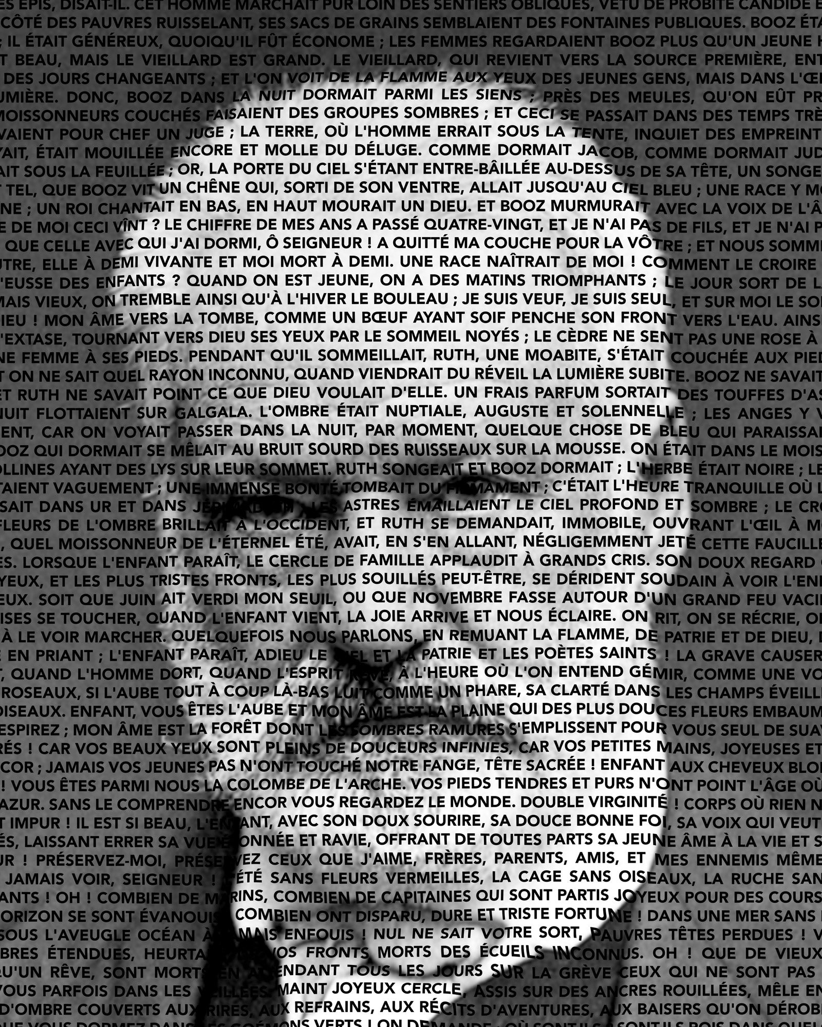 Victor Hugo - Het typografische portret The Contemplations