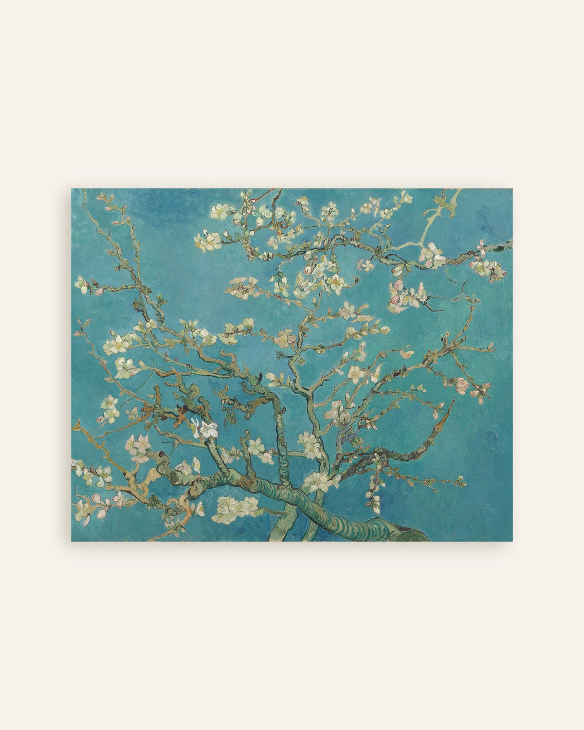 Poster van Amandelbloesem (1890) van Vincent van Gogh, miniatuur