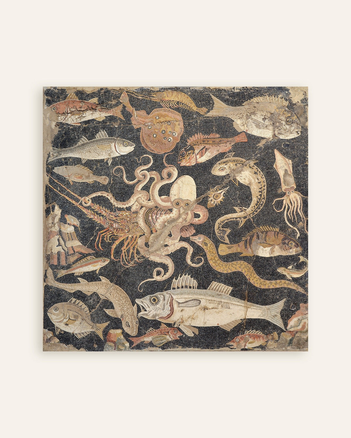 Poster van het vismozaïek uit Pompeii, Romeins zeeleven