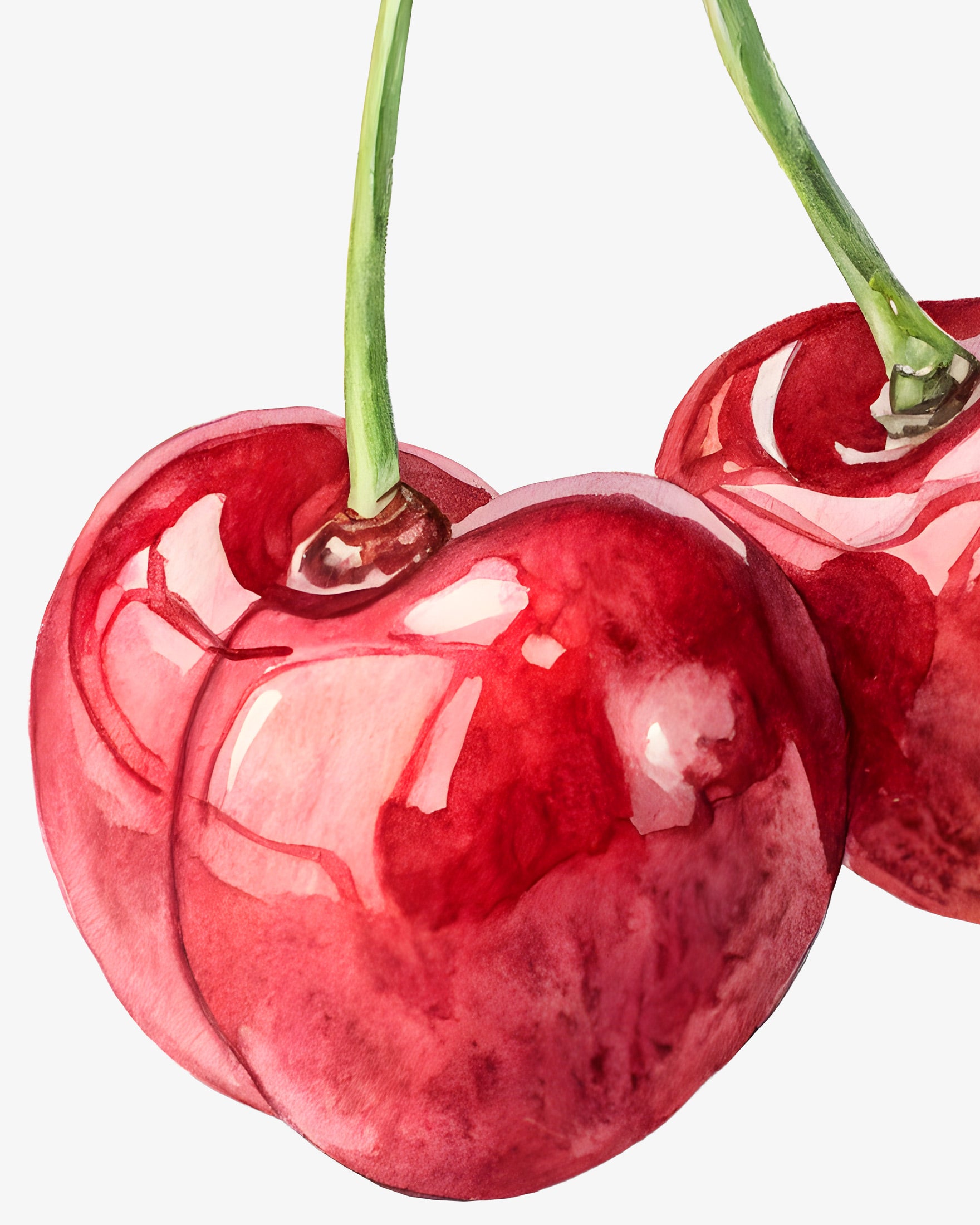 Waterverf Kers Poster – Fruit Muurdecoratie Poster
