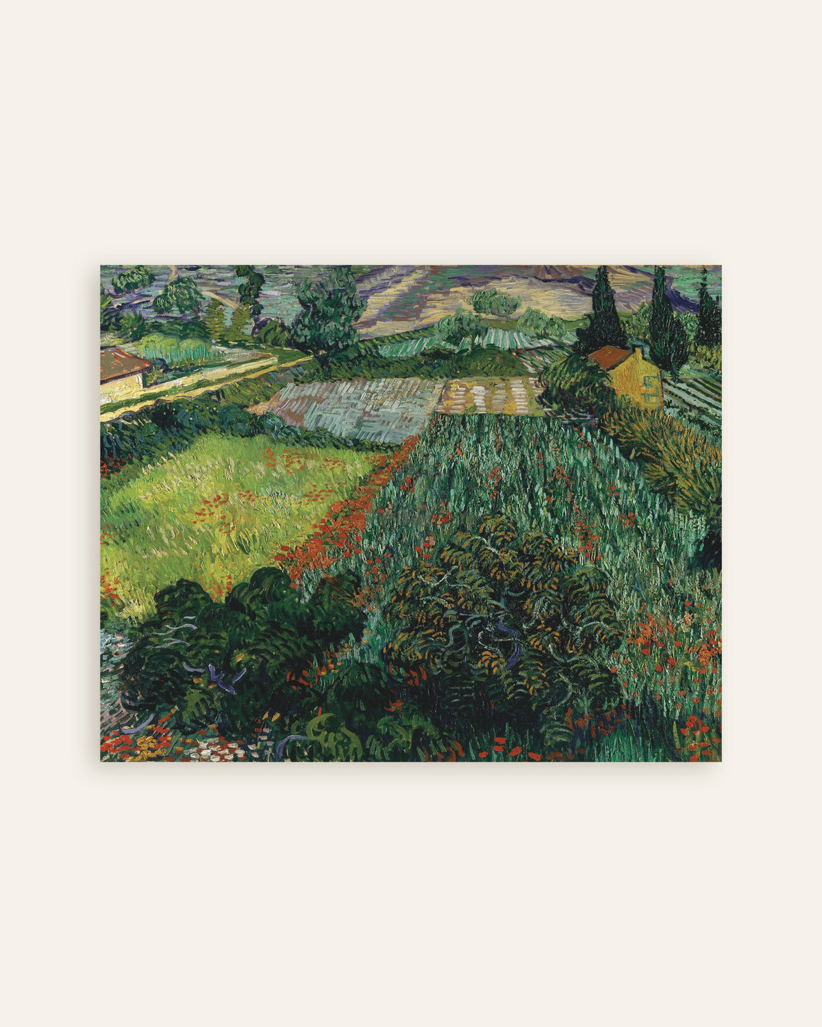 Poster van Veld met klaprozen (1889) van Vincent van Gogh, miniatuur