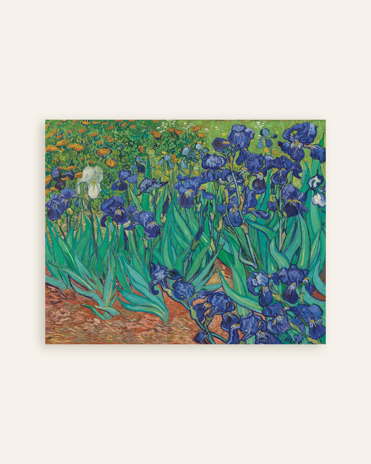 Poster van Irissen (1889) van Vincent van Gogh, miniatuur