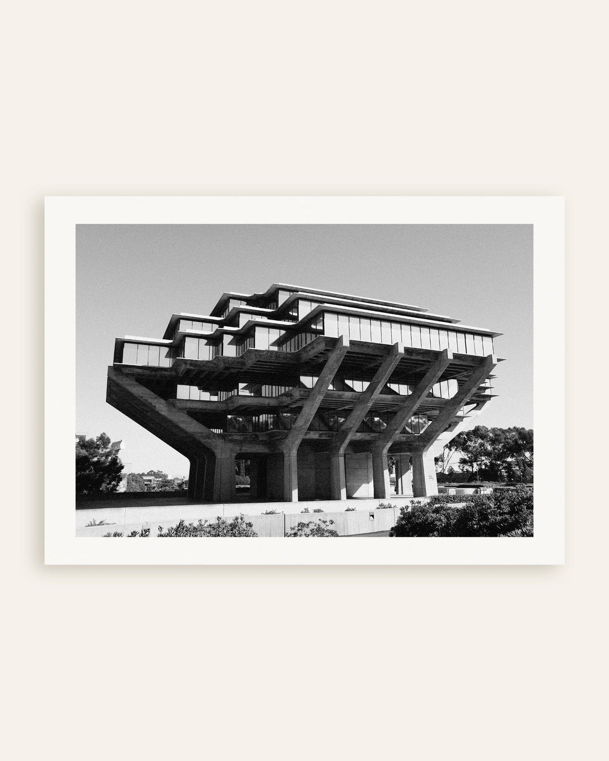 Poster ‘Bibliotheek op betonnen pilaren’, miniatuur