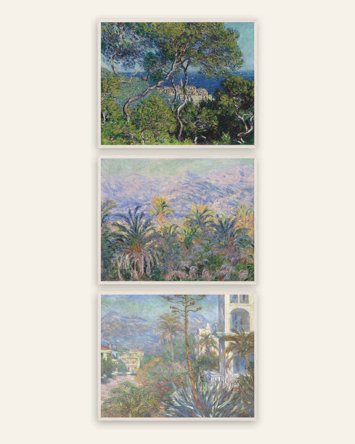 Monet Bordighera posters, set van 3: dennen, palmen en villa’s aan de Riviera, in witte eikenhouten lijsten
