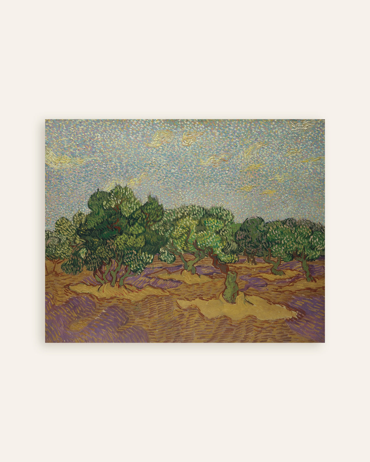 Poster van Olijfbomen onder een bleke hemel (1889) van Vincent van Gogh, miniatuur