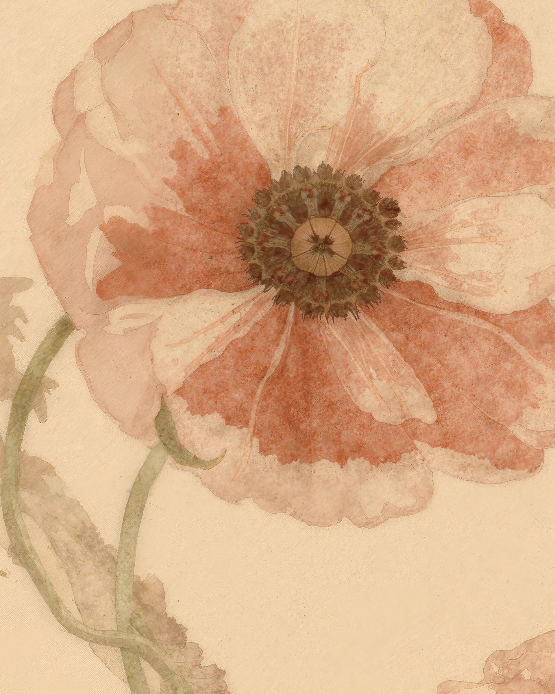 Poppies watercolor poster detail