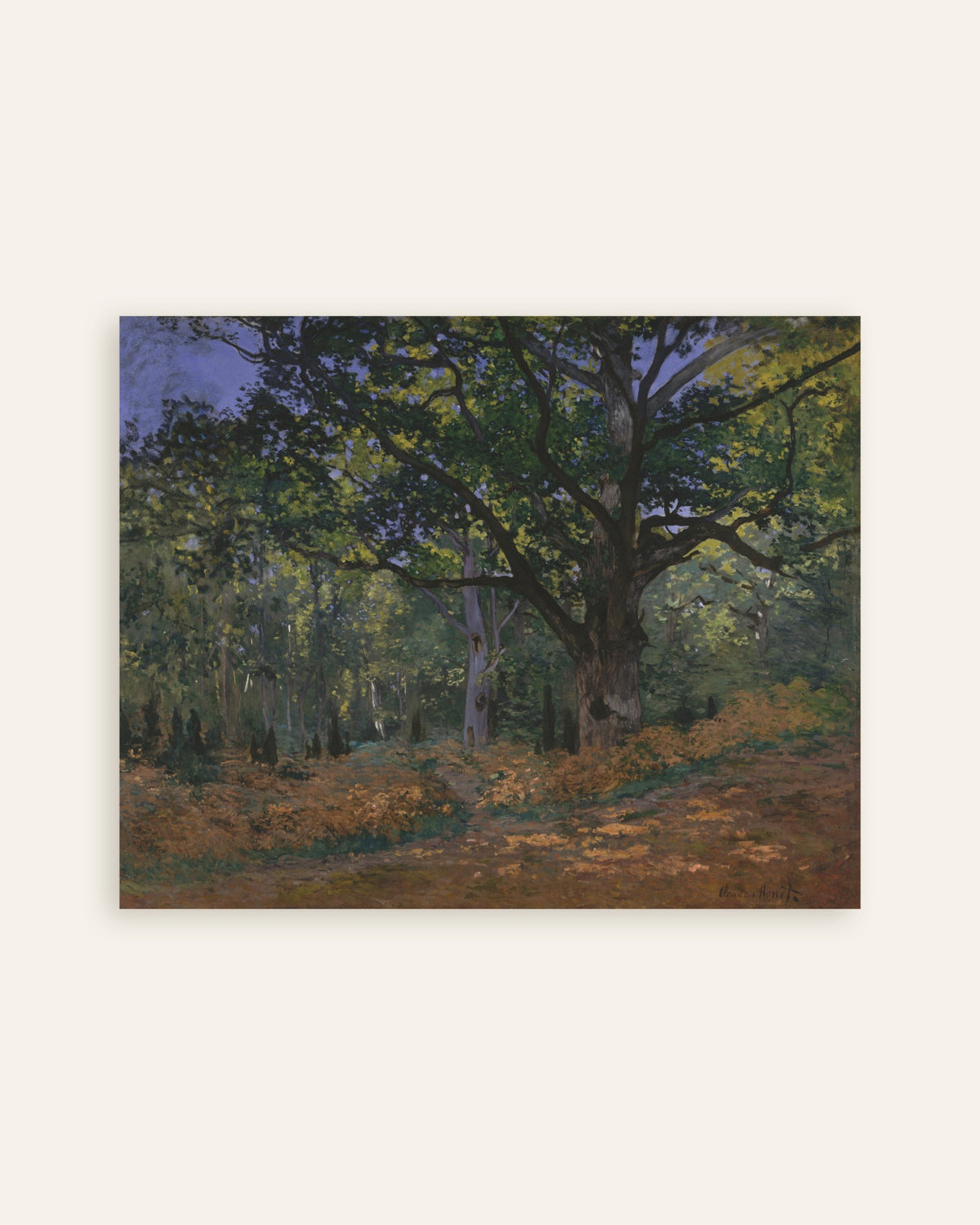 Poster De eik van Bodmer, bos van Fontainebleau (1865) van Claude Monet, miniatuur