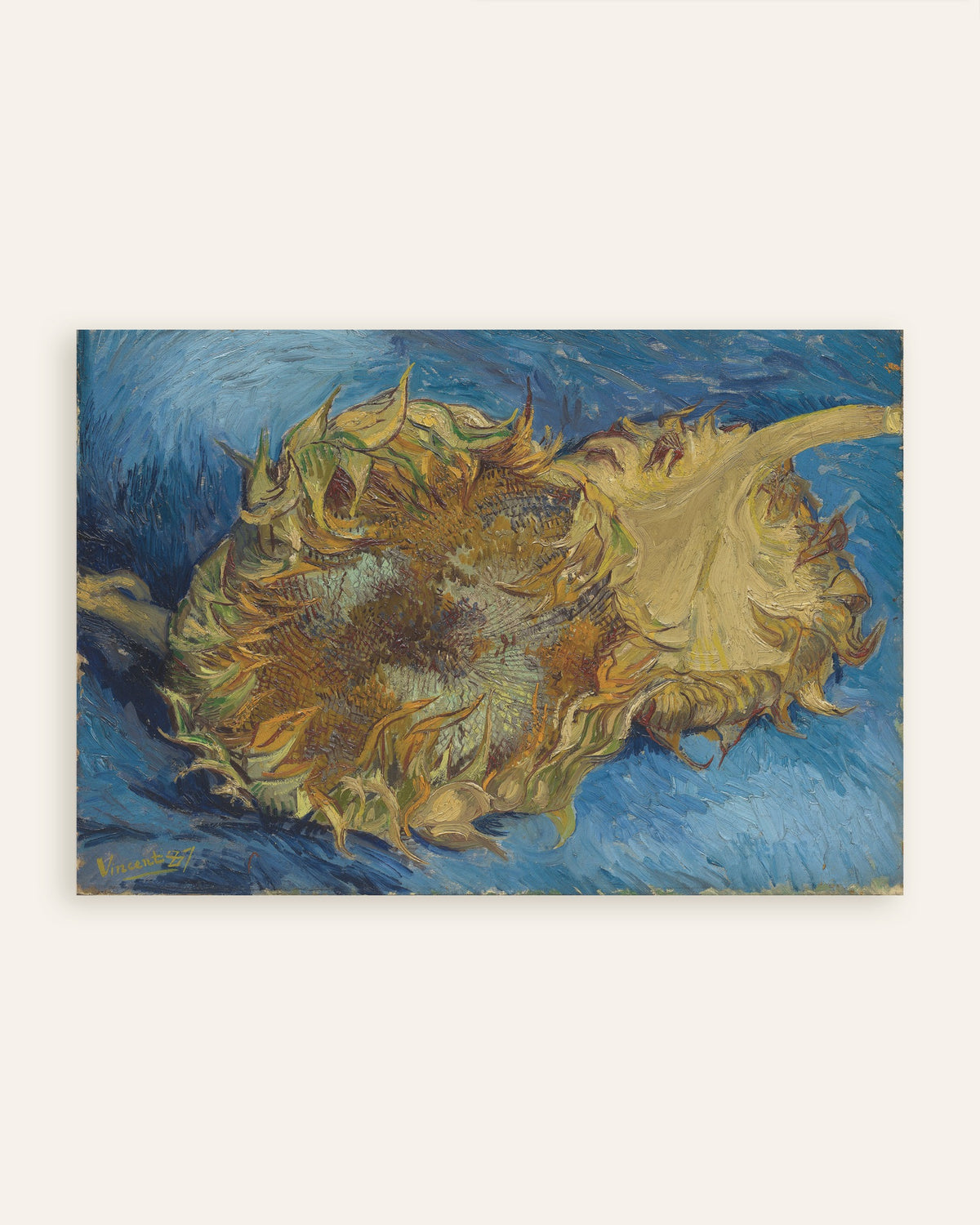 Poster van Twee afgesneden zonnebloemen (1887) van Vincent van Gogh, miniatuur