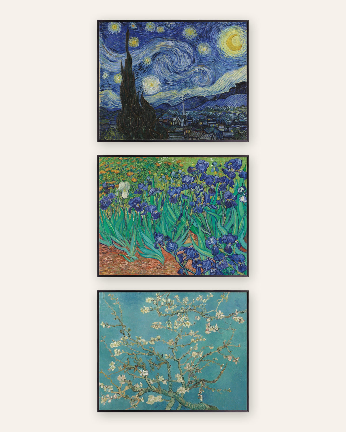 Van Gogh posters, set van 3: De sterrennacht, Irissen en Amandelbloesem, in zwarte metalen lijsten