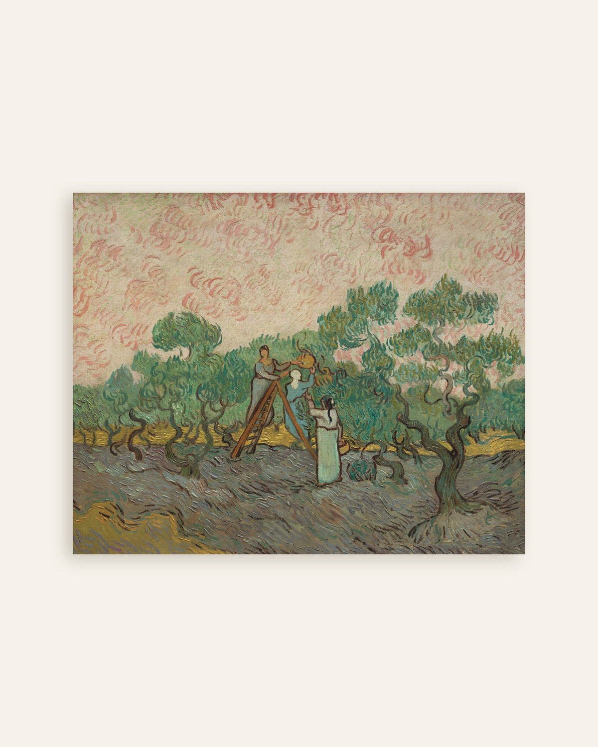 Poster van Vrouwen die olijven plukken (1889) van Vincent van Gogh, miniatuur