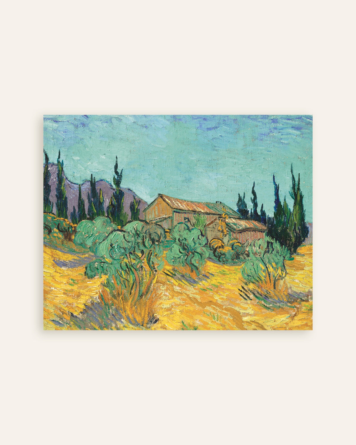 Poster van Houten hutten tussen olijfbomen en cipressen (1889) van Vincent van Gogh, miniatuur